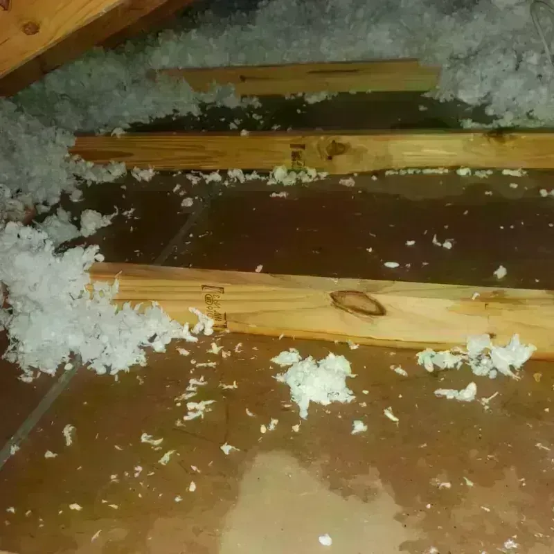 Attic Water Damage in Troy, NC