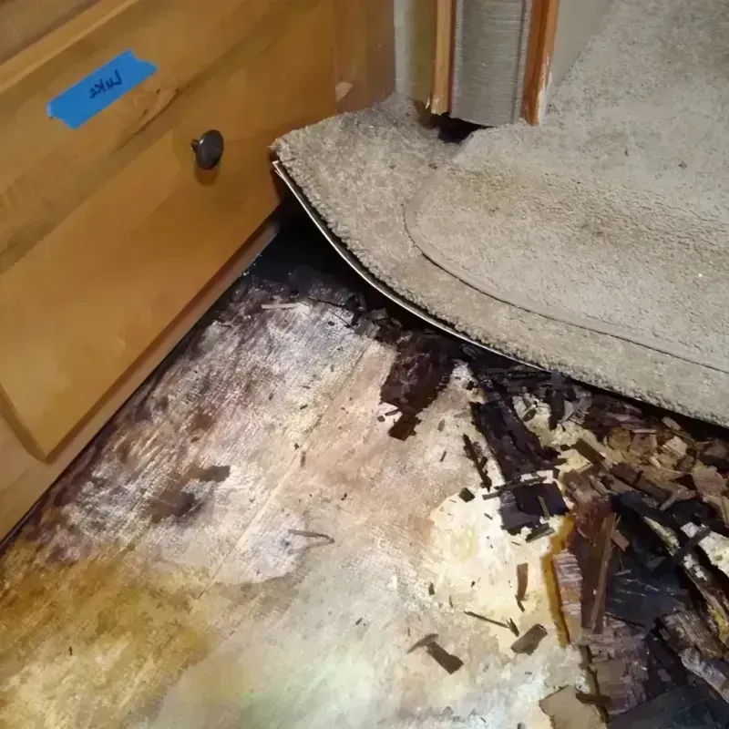 Wood Floor Water Damage in Troy, NC